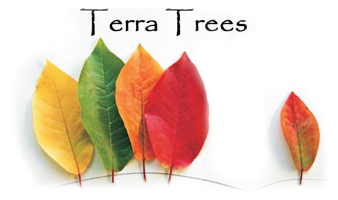 Welcome To Terra Trees
